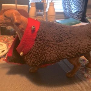 Gently used dog coat